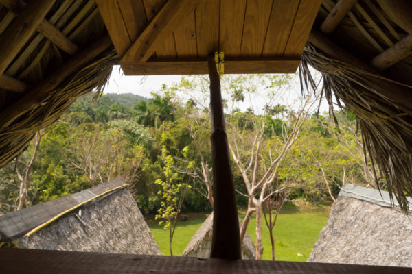 Rustic room with a view~